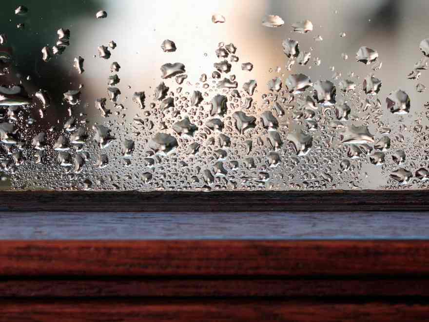 Methods to eliminate condensation inside home windows &ndash; 7 methods to guard your house