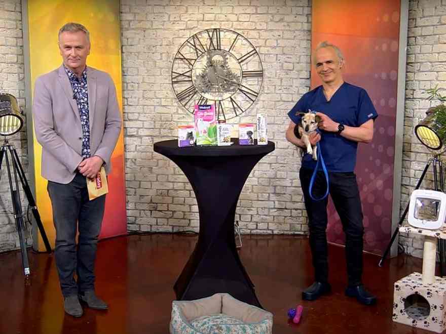 Pet Anxiety – RTE Today Show – Petfix Club Pet Clinic
