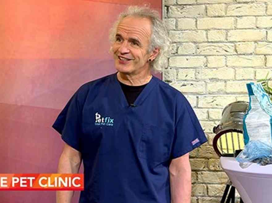 The Petfix Vet Spot on RTE’s Today Show: arthritis in pets