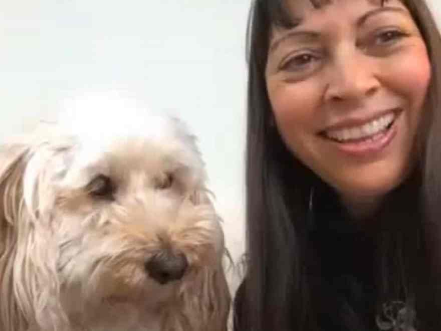 “A Vet’s Calling”: interview with Pete the Vet and Ana Isabel