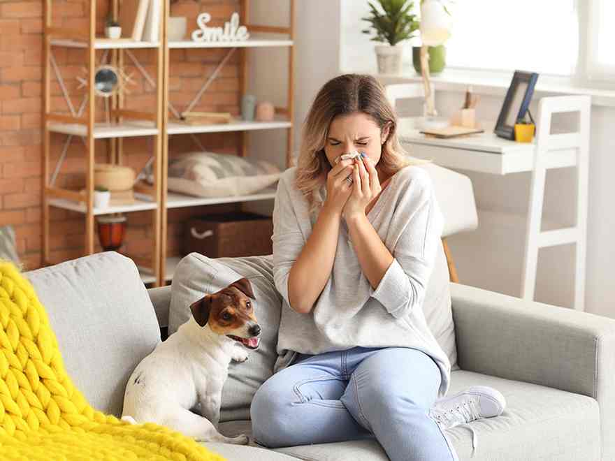 How you can Allergy Proof Your House Exercise