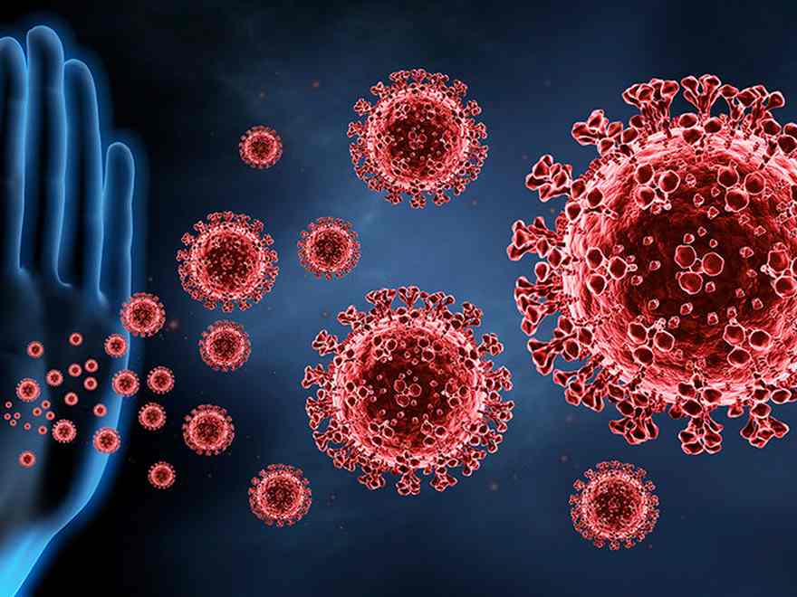 5 Ways to Boost Your Immune System